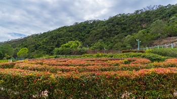 公园位于平山脚下，四周有大量在不同高度种植的灌木和树木，逐渐从未受滋扰的平山景观渐变至顺利地区的都市环境。